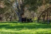 370 McGintys Road, Glenaroua, Vic 3764-Image