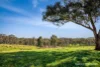 370 McGintys Road, Glenaroua, Vic 3764-Image