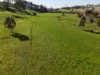 370 Morwell-Thorpdale Road, Driffield VIC 3840-Image