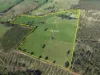 370 Morwell-Thorpdale Road, Driffield VIC 3840-Image