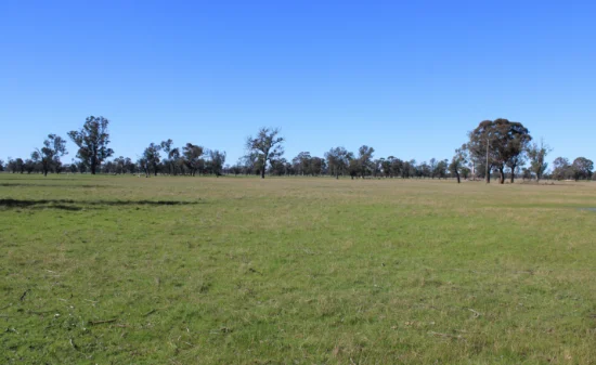 375 Ripley Road, Apsley, Vic 3319