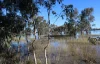 375 Ripley Road, Apsley, Vic 3319-Image