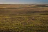 3788 The Snowy River Way, Maffra, NSW 2630-Image