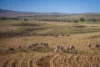 3788 The Snowy River Way, Maffra, NSW 2630-Image