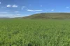 3788 The Snowy River Way, Maffra, NSW 2630-Image