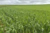 37981 Eyre Highway, Wirrulla, SA 5661-Image