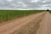 37981 Eyre Highway, Wirrulla, SA 5661-Image