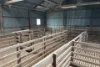 37981 Eyre Highway, Wirrulla, SA 5661-Image