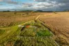 380 Graces Flat Road, Bowning, NSW 2582-Image