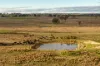 380 Graces Flat Road, Bowning, NSW 2582-Image