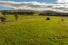 380 Graces Flat Road, Bowning, NSW 2582-Image