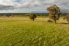 380 Graces Flat Road, Bowning, NSW 2582-Image