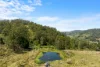 383 Bice Road, Leycester, NSW 2480-Image