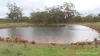 386 Sarona Downs Road, Hermidale, NSW 2831-Image