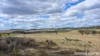 391 Mullins Road, Willowvale, Qld 4370-Image