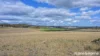 391 Mullins Road, Willowvale, Qld 4370-Image