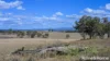 391 Mullins Road, Willowvale, Qld 4370-Image
