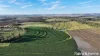 391 Mullins Road, Willowvale, Qld 4370-Image