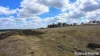 391 Mullins Road, Willowvale, Qld 4370-Image