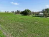 395 Blacket Road, Wynarka, SA 5306-Image