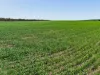395 Blacket Road, Wynarka, SA 5306-Image