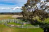 3985 Purlewaugh Road, Purlewaugh, NSW 2357-Image