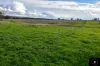 3985 Purlewaugh Road, Purlewaugh, NSW 2357-Image