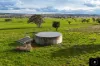 3985 Purlewaugh Road, Purlewaugh, NSW 2357-Image