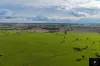 3985 Purlewaugh Road, Purlewaugh, NSW 2357-Image