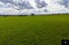 3985 Purlewaugh Road, Purlewaugh, NSW 2357-Image