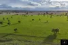 3985 Purlewaugh Road, Purlewaugh, NSW 2357-Image