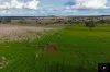 3985 Purlewaugh Road, Purlewaugh, NSW 2357-Image