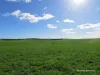 40 Matsen Road, Dongara, WA 6525