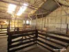 40 Matsen Road, Dongara, WA 6525-Image