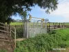 40 Matsen Road, Dongara, WA 6525-Image