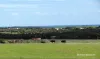 40 Matsen Road, Dongara, WA 6525-Image