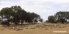 40 Matsen Road, Dongara, WA 6525-Image