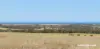 40 Matsen Road, Dongara, WA 6525-Image