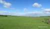 40 Matsen Road, Dongara, WA 6525-Image