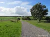 40 Matsen Road, Dongara, WA 6525-Image