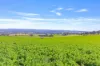 404 Kangaroo Flat Road, Cowra, NSW 2794-Image