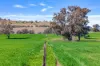 404 Kangaroo Flat Road, Cowra, NSW 2794-Image
