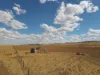 4087 Booborowie Rd, Hallett, SA 5419-Image