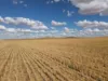 4087 Booborowie Rd, Hallett, SA 5419-Image