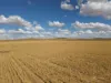 4087 Booborowie Rd, Hallett, SA 5419-Image