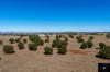 409 Bakers Lane, Gunnedah, NSW 2380-Image