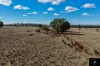 409 Bakers Lane, Gunnedah, NSW 2380-Image
