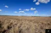 409 Bakers Lane, Gunnedah, NSW 2380-Image