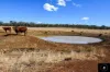 409 Bakers Lane, Gunnedah, NSW 2380-Image