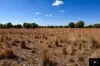 409 Bakers Lane, Gunnedah, NSW 2380-Image